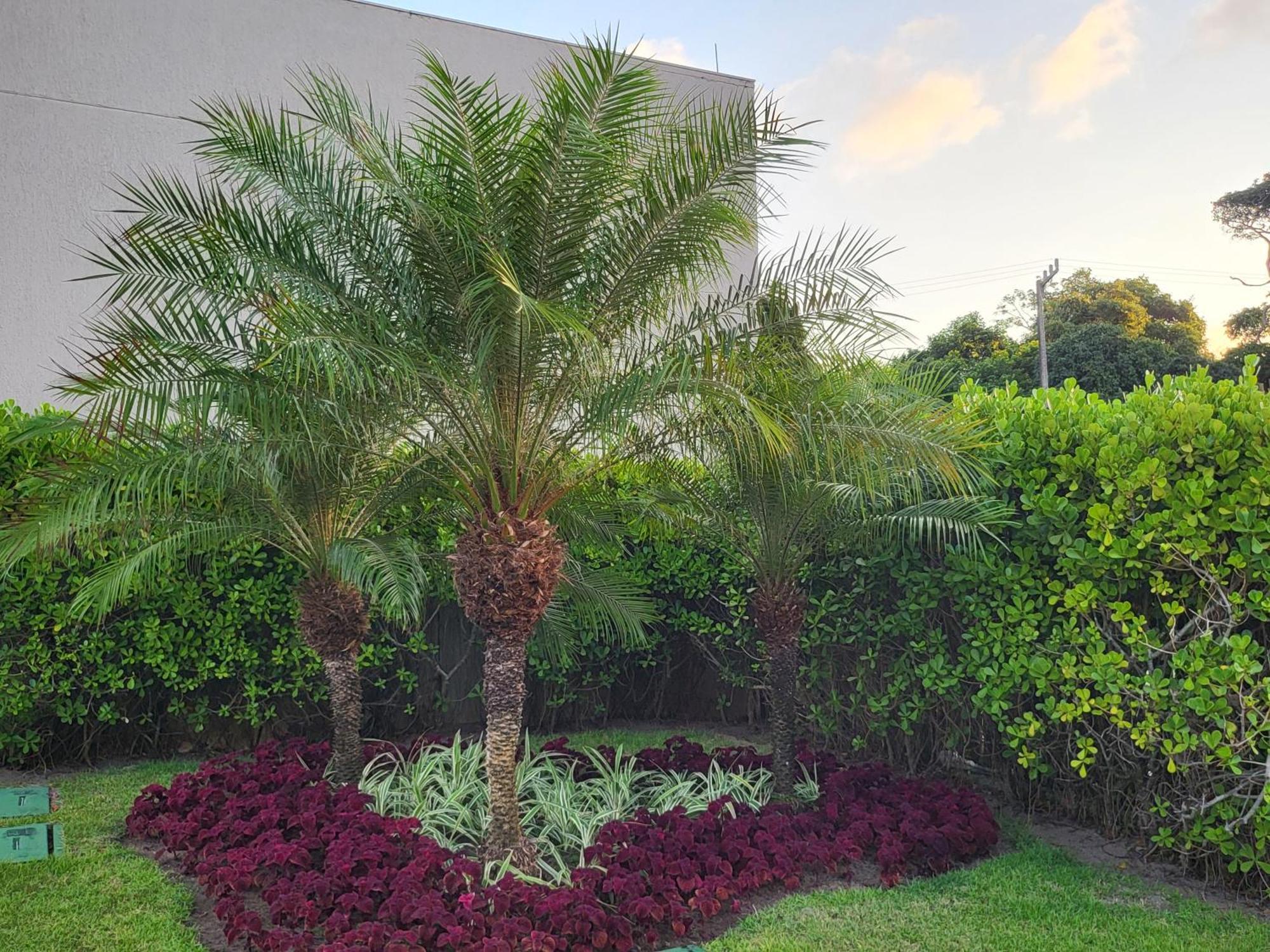Apartamento Boutique Ecolife Pôrto das Galinhas Exterior foto